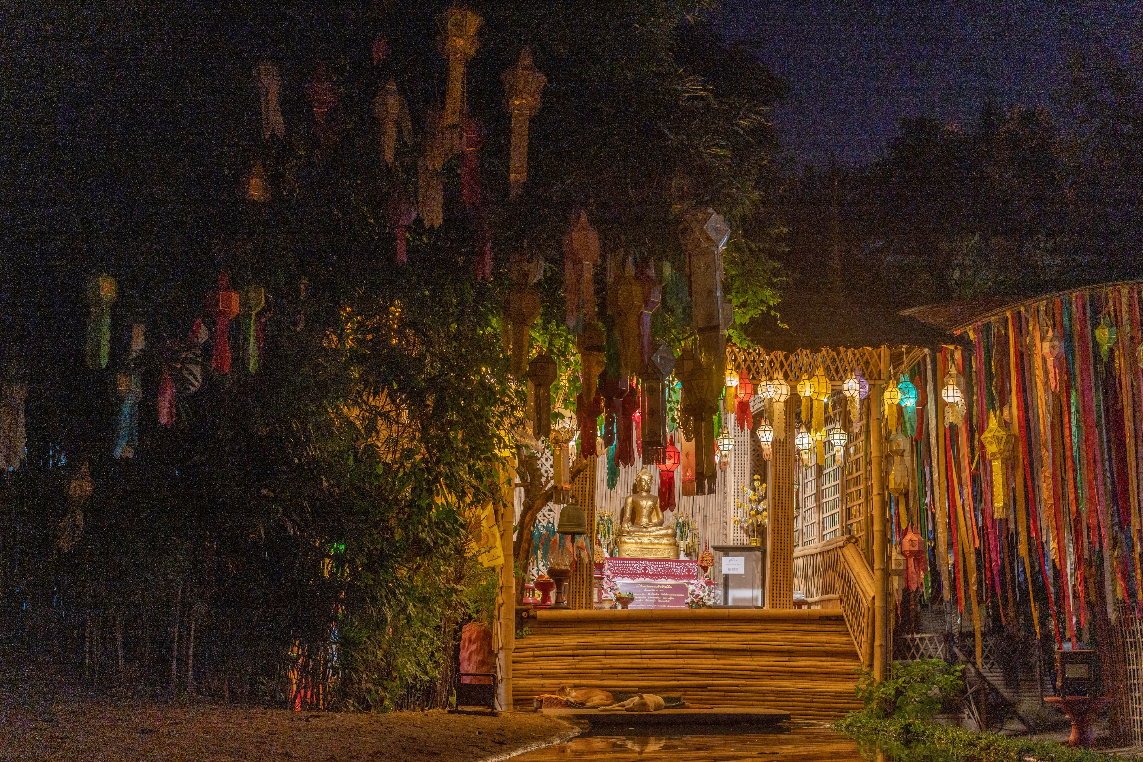 为什么男人都想去泰国,为什么很多女人都喜欢去泰国