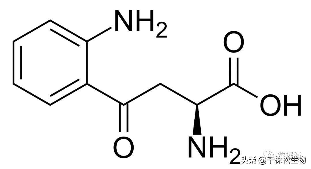 色氨酸是氨基酸,色氨酸和氨基酸的区别