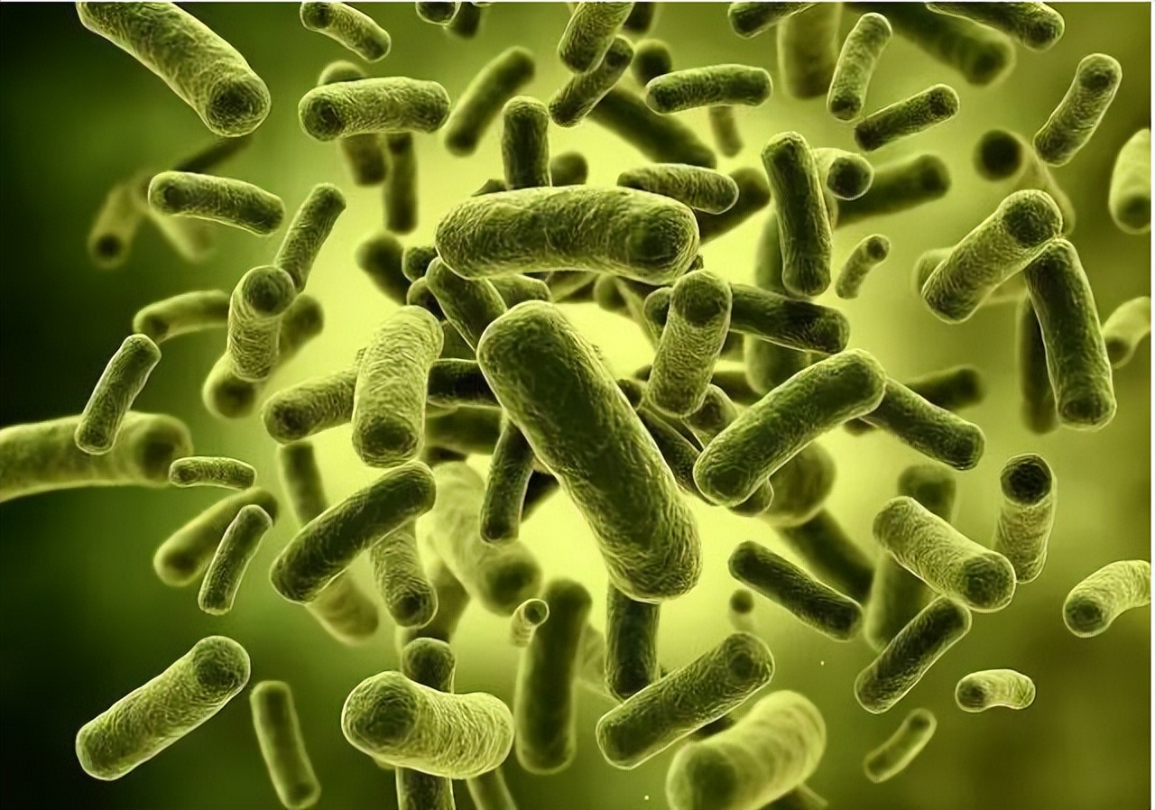 怎么在*生活性**前，判断对象有没有性病？