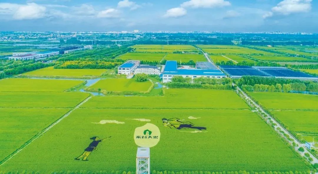 打造全国农业现代化示范区,现代化农业示范区规划图