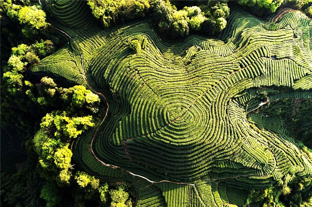 雅安暑假游攻略最佳线路,雅安必玩