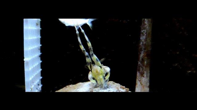 元宇宙给我们带来的影响,元宇宙对普通生活的影响