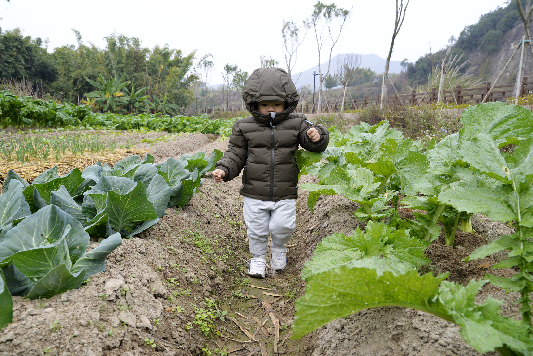 国产跟黑冰一个档次羽绒服,国货之光轻薄羽绒