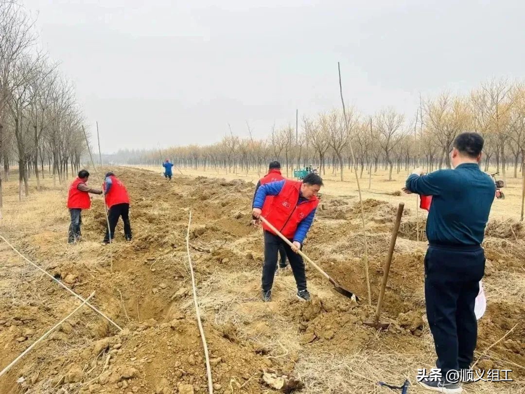 村居擂台竞位争先丨杨镇破罗口村*党**建“红心”护绿林打造“林子里的美丽村庄”