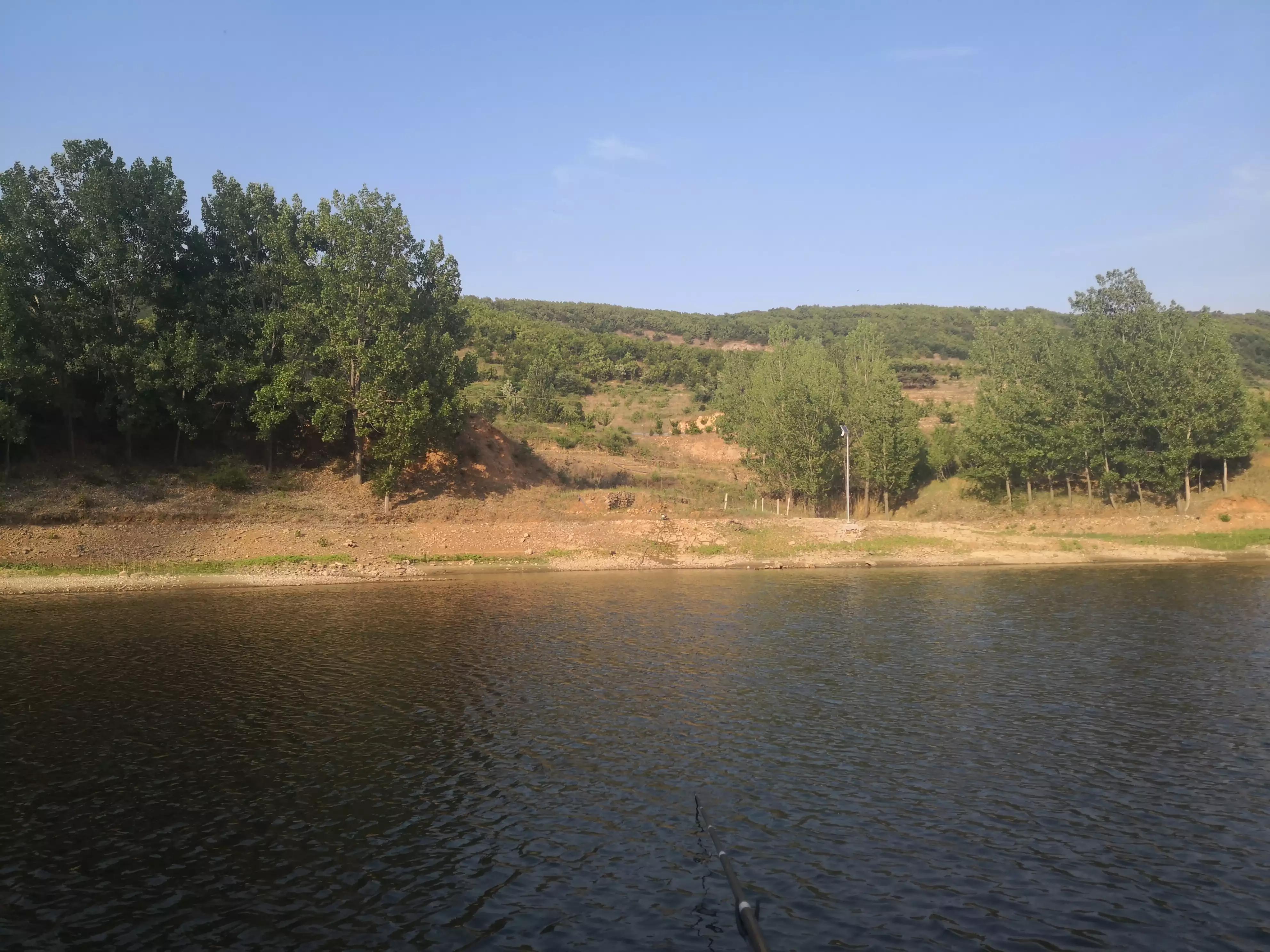 神仙难钓午时鱼是指什么鱼,神仙难钓午时鱼有什么说法