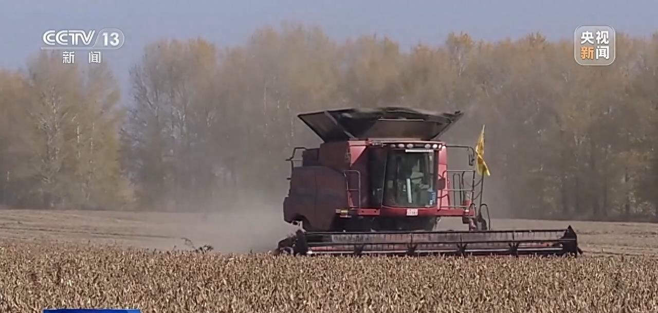 庄稼丰收但无人收割,庄稼丰收但无人收割来自什么俗话