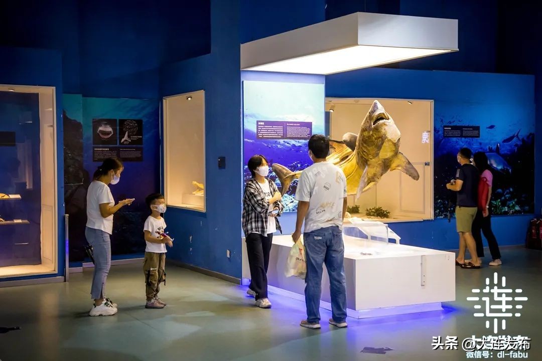 1996年大连旅顺新港景区,大连十大景区排行榜