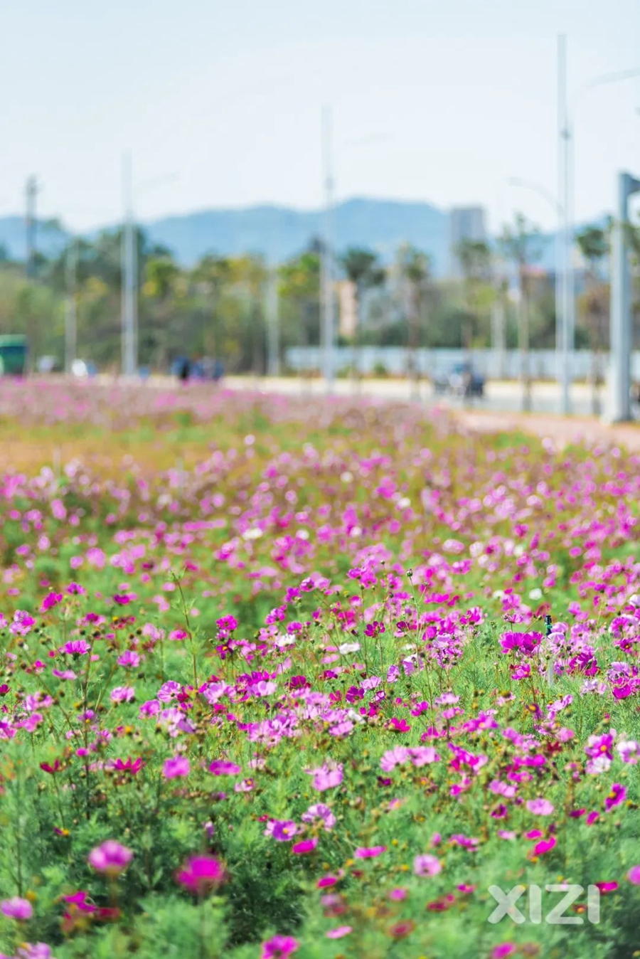 惠州拍照好看的推荐,惠州拍写真的地方推荐