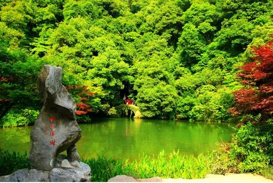 杭州好玩的地方和景点排行榜,杭州周边好玩的地方景点免费