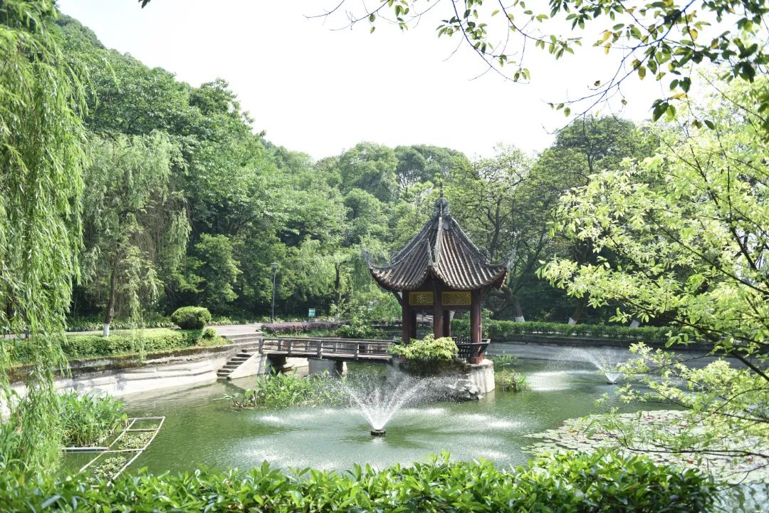 四川内江到云南旅游自驾游路线,重庆四川南充旅游线路攻略