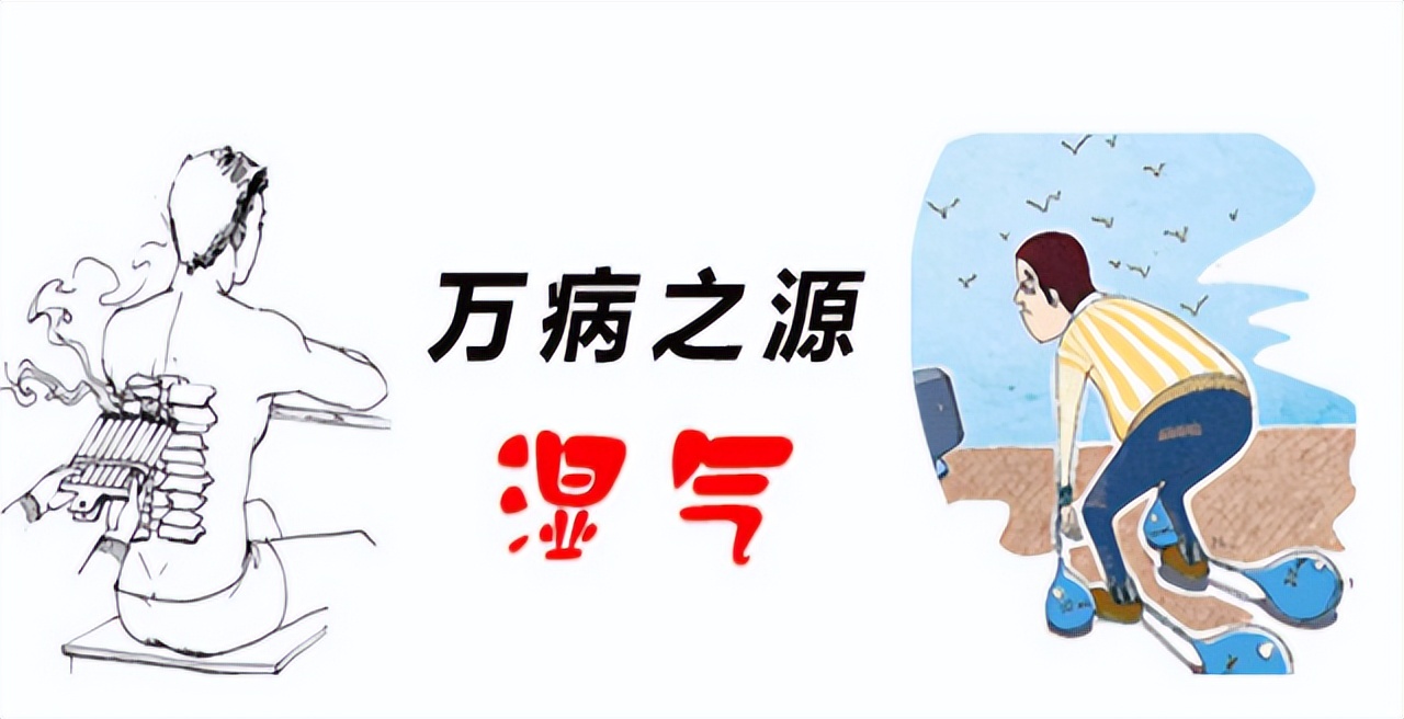 加湿器会导致人体湿气重吗,水果加湿器