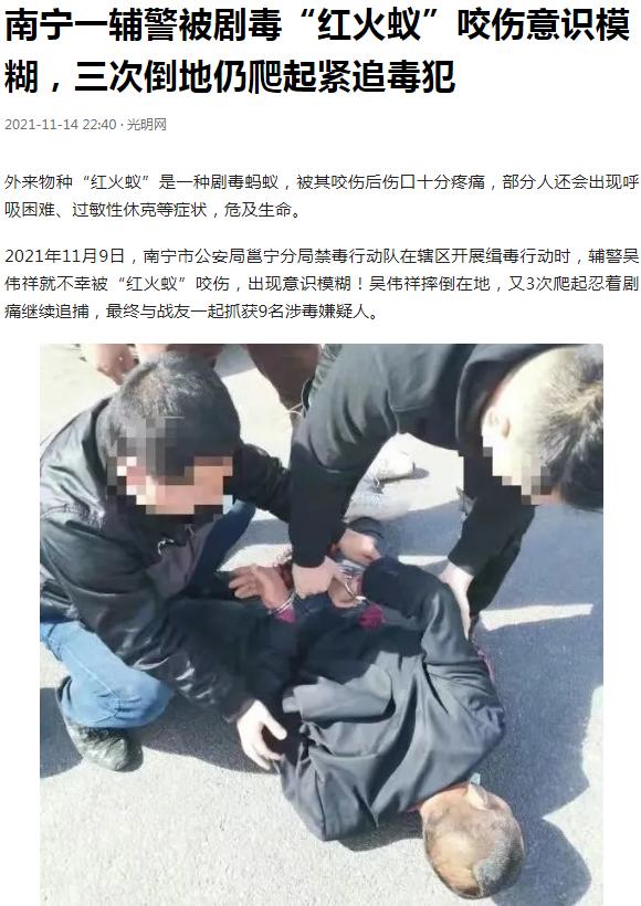 还有比红火蚁最可怕的蚂蚁吗,比红蚂蚁还可怕的蚂蚁是什么