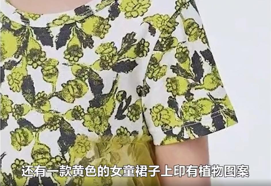 江南布衣问题是怎么回事,如何看待江南布衣