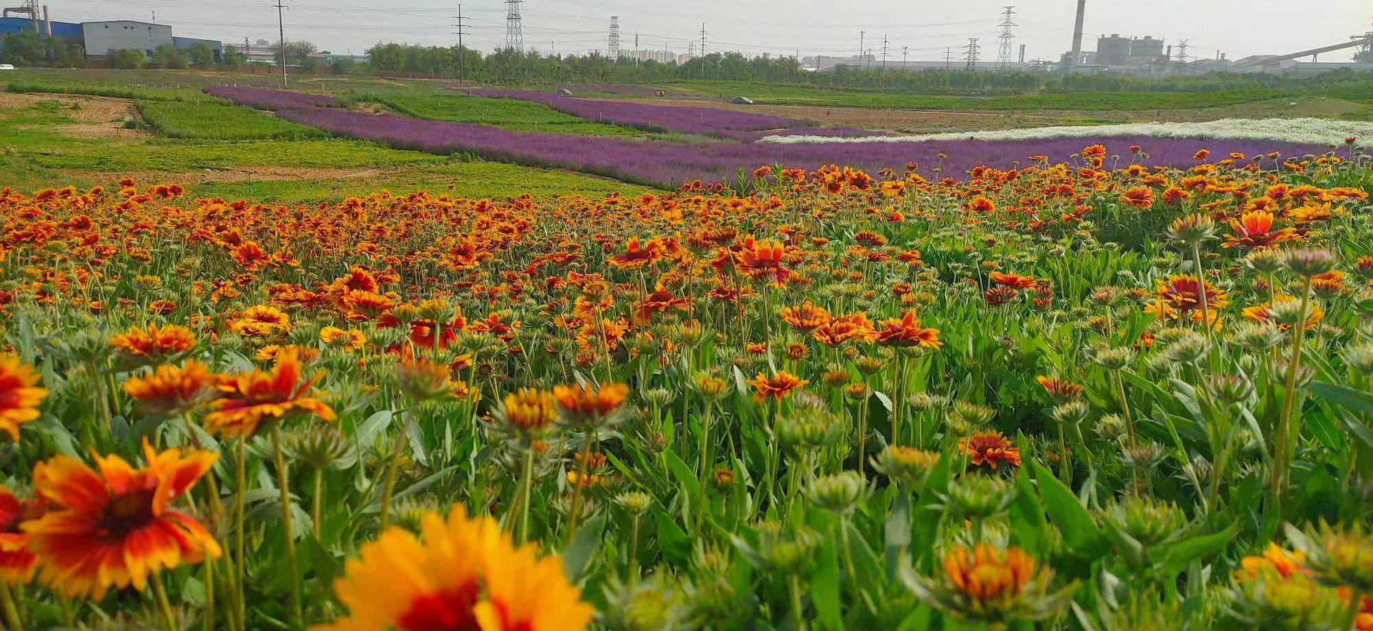 唐山重点暖企惠民政策,唐山惠民中心