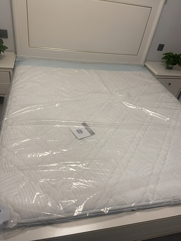 棕榈床垫和乳胶床垫哪种好,15岁适合棕榈垫子还是弹簧垫子