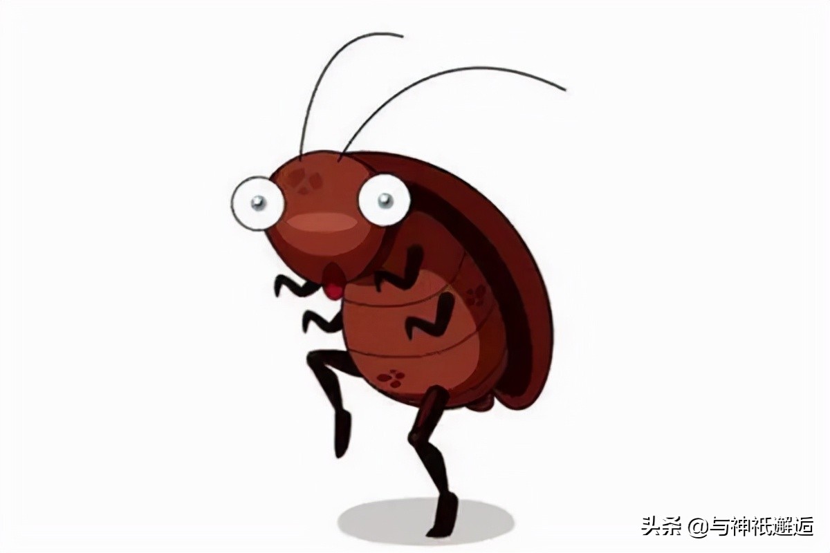 小年送灶神——那么灶神是谁？为什么要送祂？