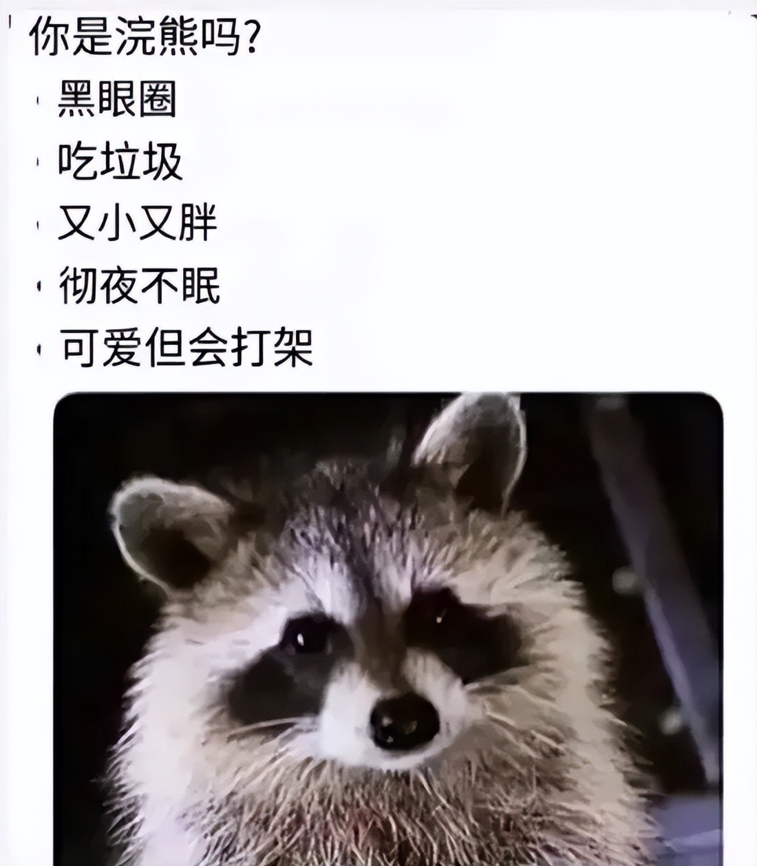 可以离线的免费ocr识图软件,照片ocr识别软件