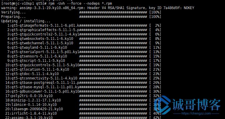 在服务器部署东西必须要专网吗,在服务器安装软件