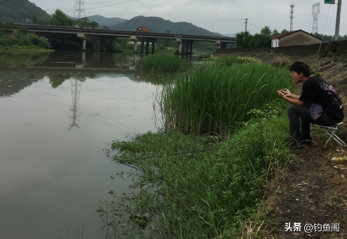 野钓什么鱼用果酸好,野钓加果酸诱鱼视频