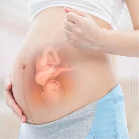 揭秘！肚子里的宝宝竟然是这样的