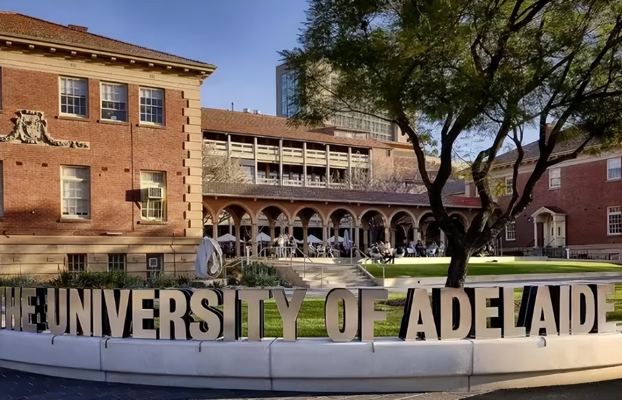 圣路易斯华盛顿大学qs世界排名2024,qs世界大学排名中国2023全部