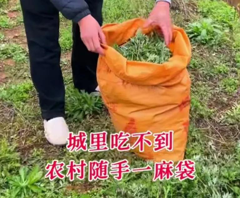 10块钱成本利润大的生意,10元钱一份的生意