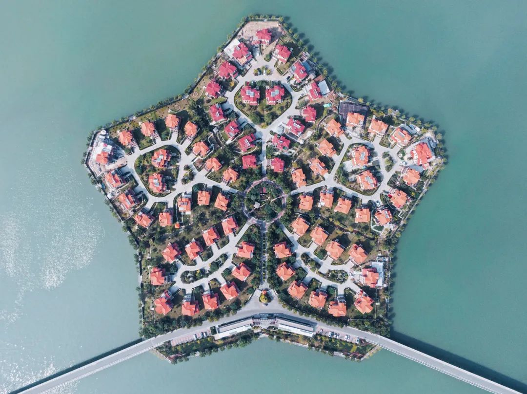 唐山大地震几级响应,唐山大地震死亡人数