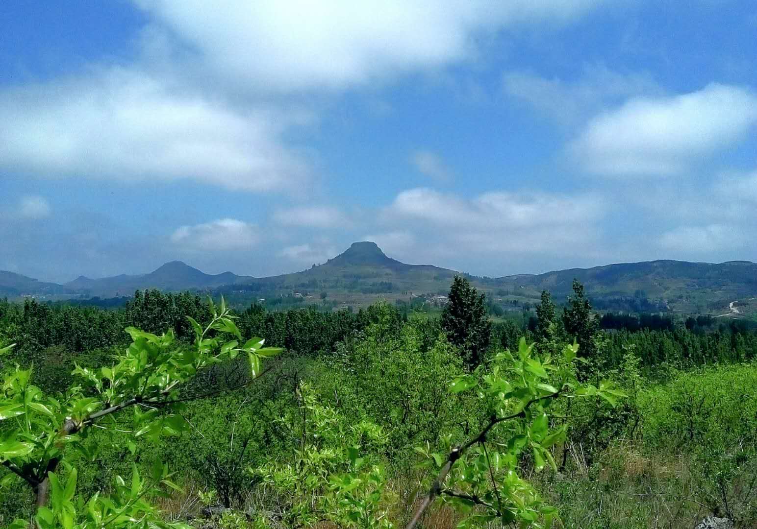 崮泉之镇的美食——泉庄大锅烀全羊/李春晓