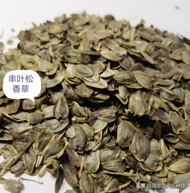 打着助农旗号的骗子,警惕乡村振兴补贴诈骗