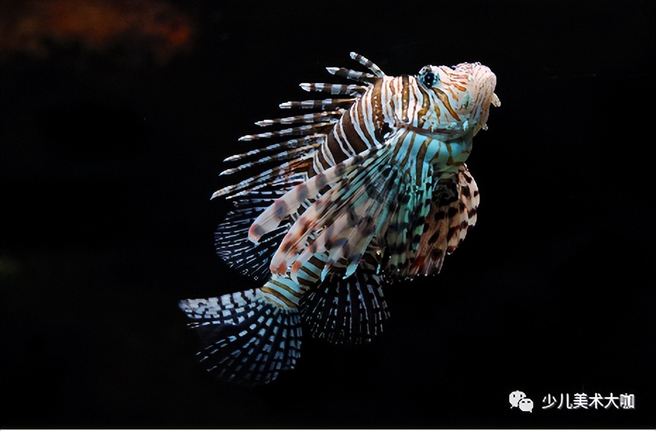 深海鱼群创意美术粘贴画,深海里的鱼群美术教案