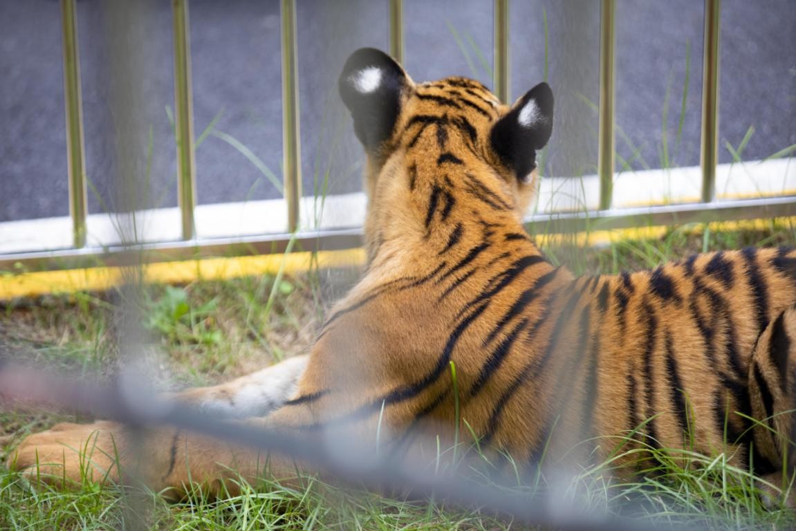 探秘韶关,魅力韶关之旅