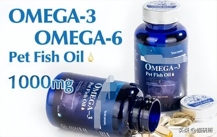 猫咪有皮屑是怎么回事,猫咪有轻微皮屑怎么回事