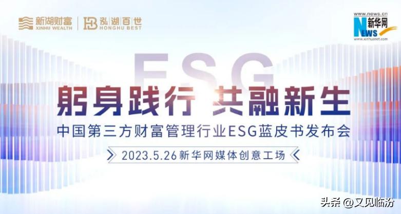 新湖财富投资靠谱吗,新湖财富公司简介