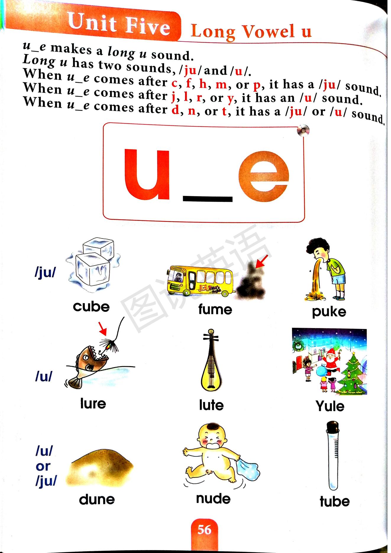 一口背,一口学会国际音标