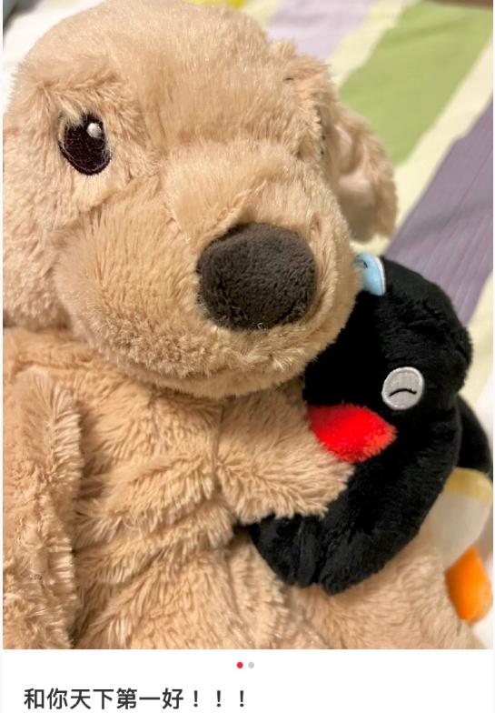 互联网有多精彩搞笑视频,早期互联网搞笑段子