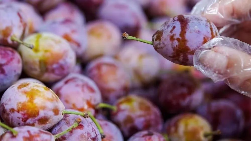 水果店新手入行,水果店开店技巧和方法