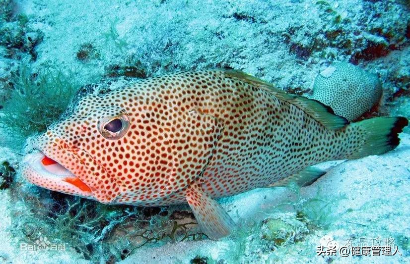 美容护肤食疗方案,美容护肤养生介绍