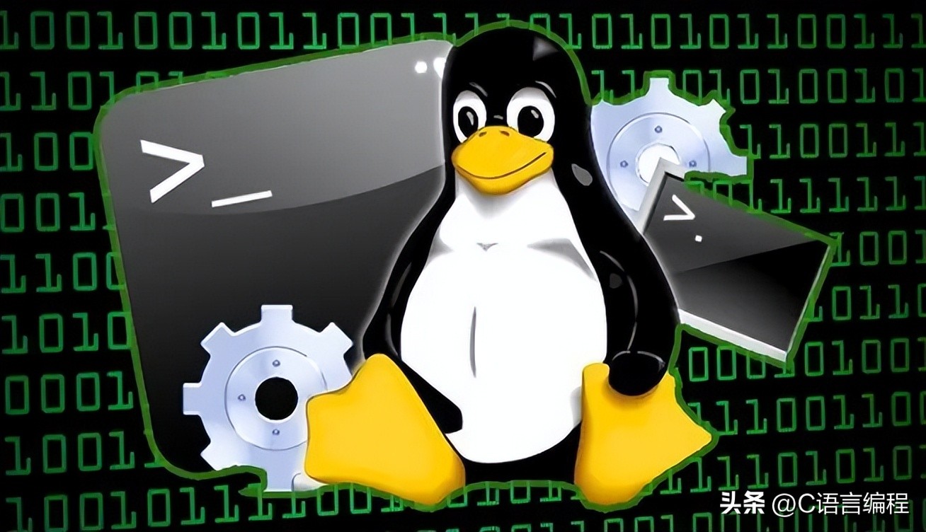 程序员人生的十大要点,程序员编程技能有哪些