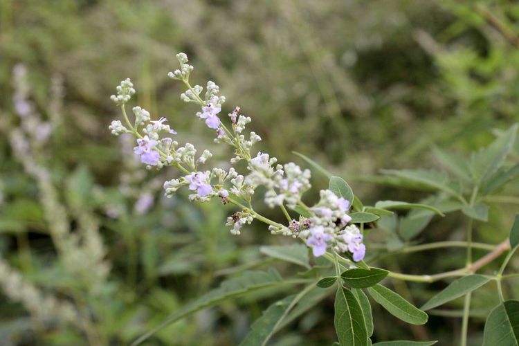 山东青州黄花溪景区图片,山东九寨沟黄花溪