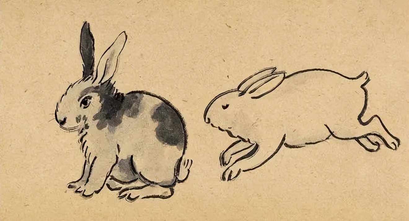 齐白石笔下富贵的牡丹,齐白石写意兔子