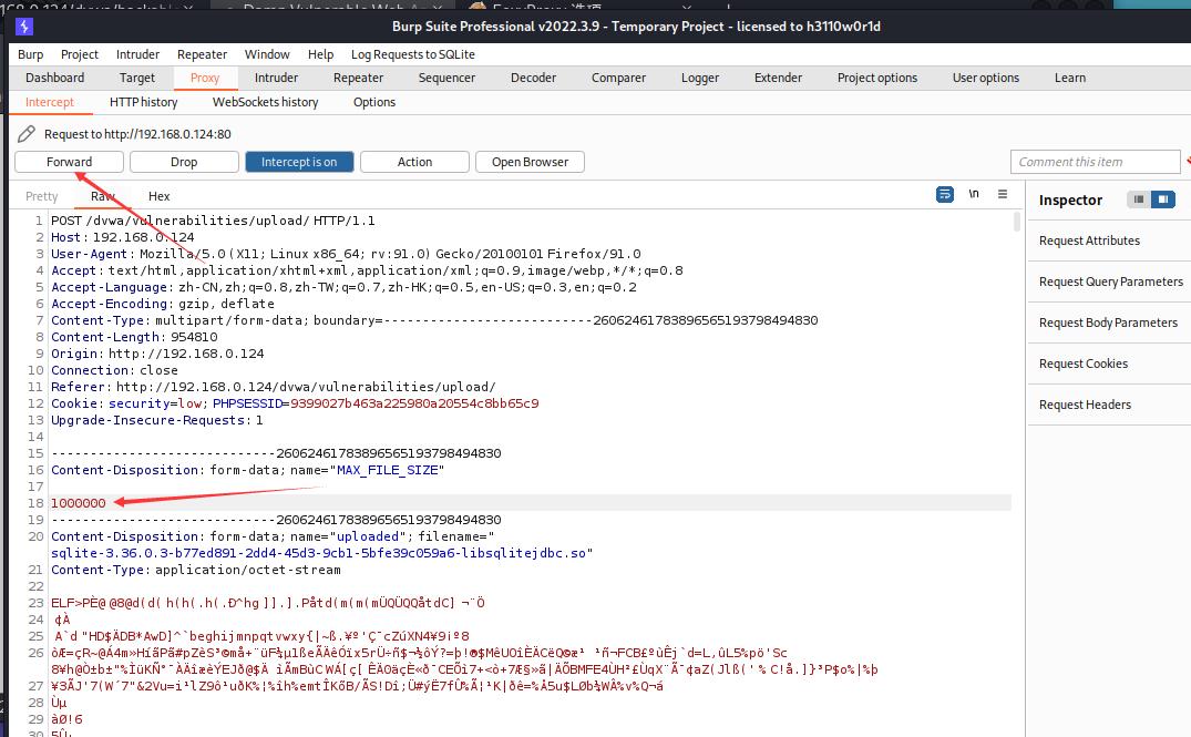 web渗透与漏洞挖掘pdf,web渗透漏洞挖掘项目报告