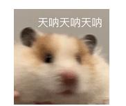 检查妇科去公立的还是私立的好,医院看妇科病有必要去吗