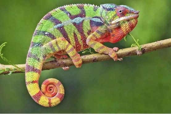 互联网公司产品经理的工作流程,互联网产品经理职位体系