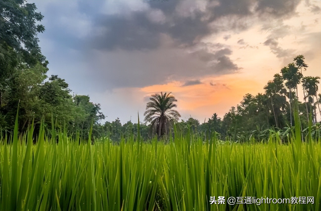 适合拍人像风景照的广角镜头,8个拍摄视角技巧