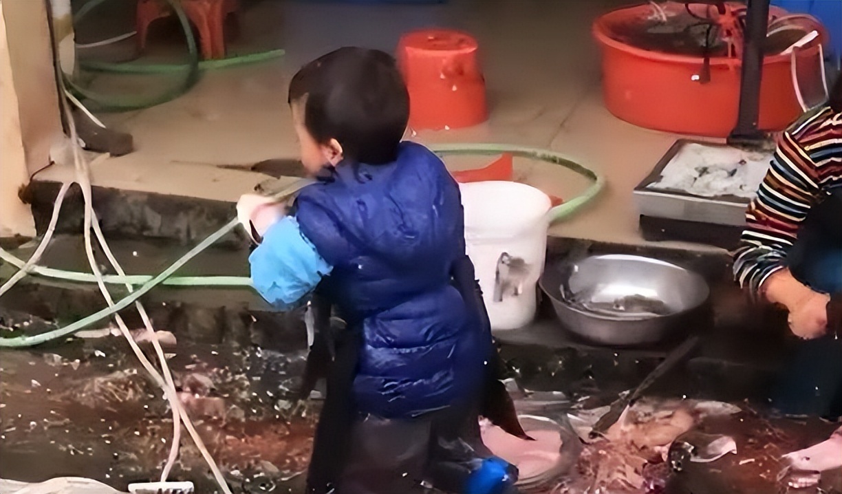 9岁爆火全网的“杀鱼弟”近况曝光：穷人家的孩子，活着有多难？