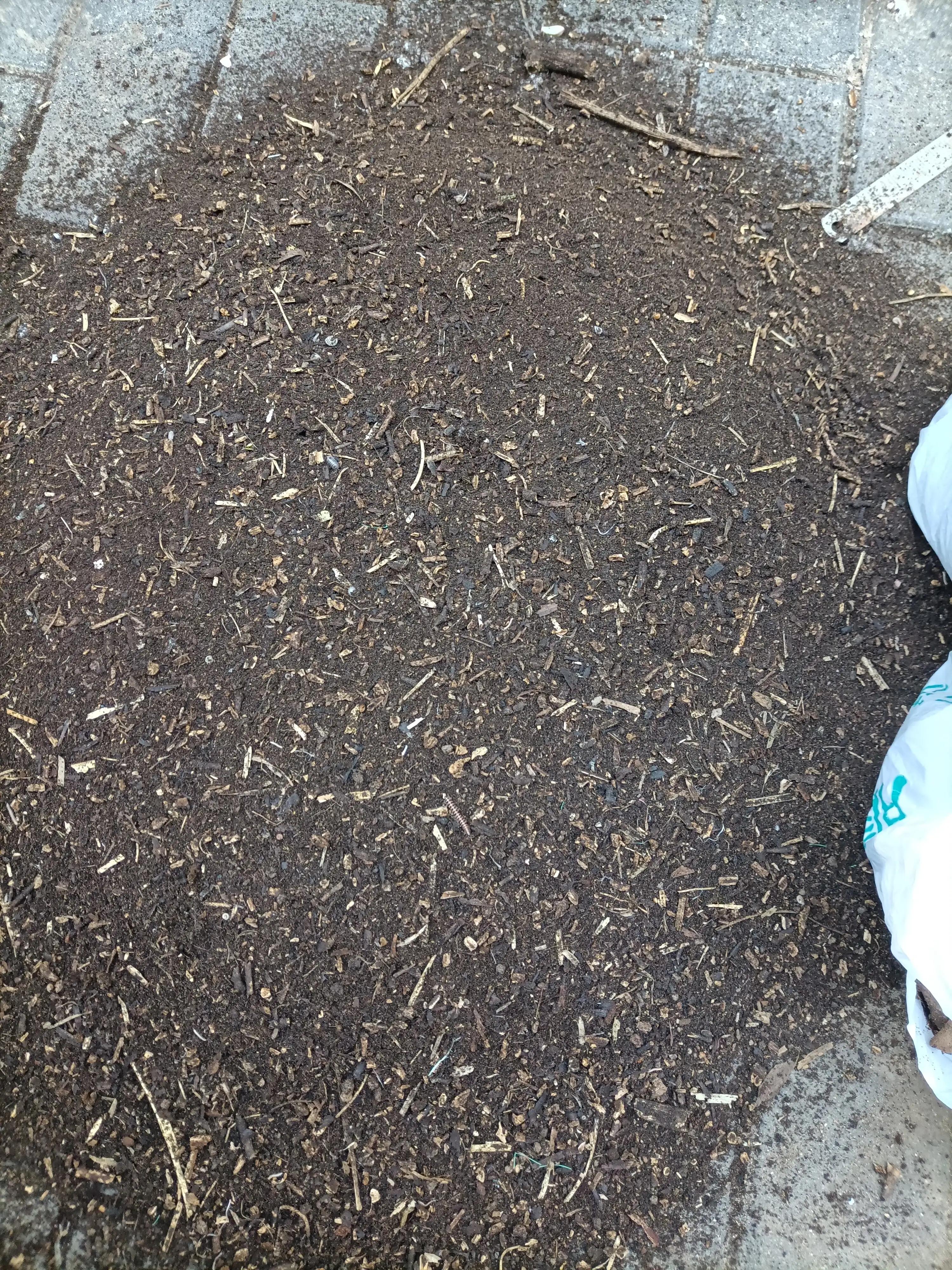 腐烂的木头能种什么花,腐烂的木头可以种植蓝莓吗