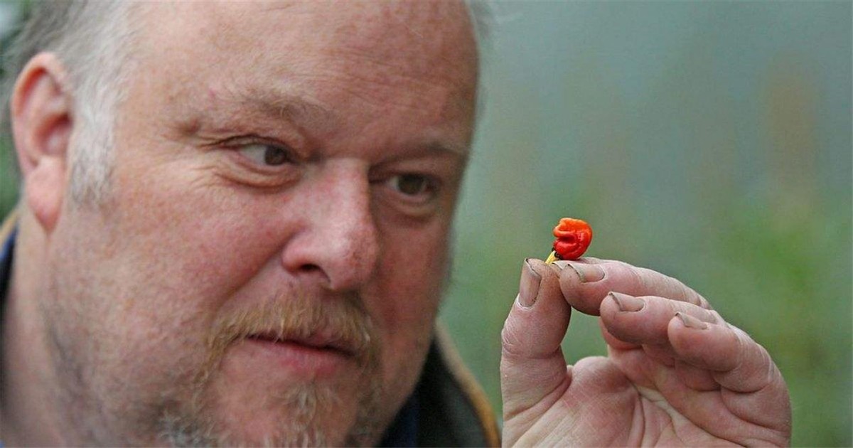 比印度魔鬼椒还要辣的辣椒,印度魔鬼椒的辣度排名第几