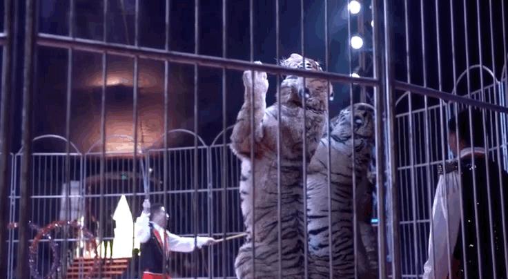 全网最近大事件,最大丑闻案件