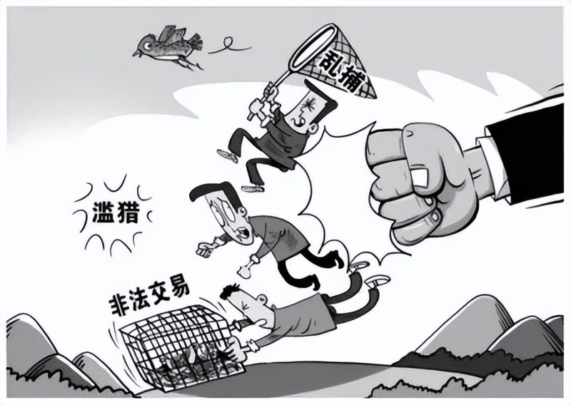 想买但没买违法吗,别买劣质产品的后果