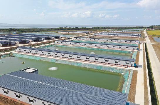 高邮鸭集团食品加工有限公司,江苏高邮鸭集团食品加工